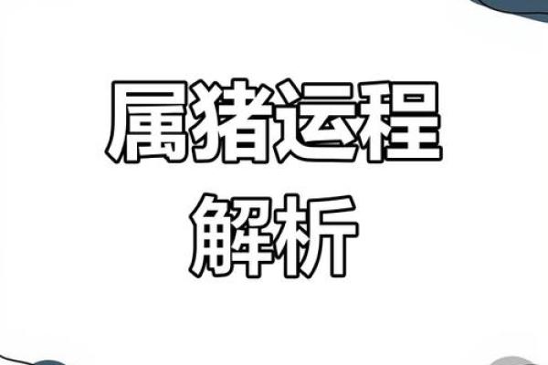 1983属猪适合住几楼层_1983属猪最佳楼层选择指南提升运势的秘诀 1983属猪适合住几楼层_1983属猪最佳楼层选择指南提升运势的秘诀