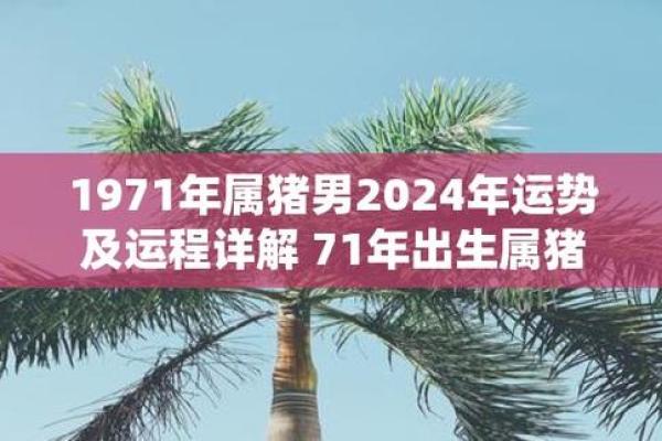 2025年1971年属猪人运势解析财运健康感情全预测 2025年1971年属猪人运势解析财运健康感情全预测