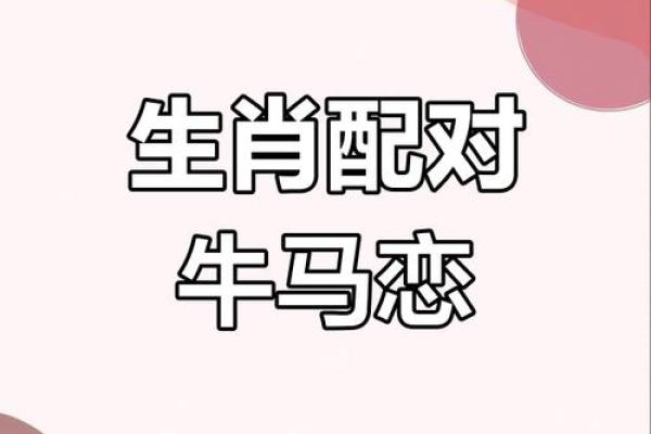 2002年属马女婚姻和命运_2002属马女的命运与婚姻 2002年属马女婚姻和命运_2002属马女的命运与婚姻