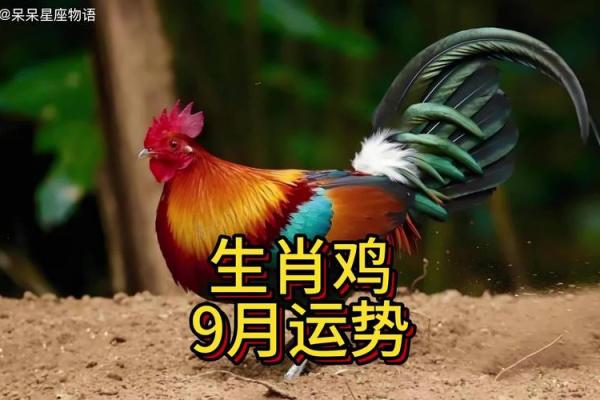 1981的鸡在2025年的运势怎么样 1981年属鸡人2023年的命运 1981的鸡在2025年的运势怎么样 1981年属鸡人2023年的命运