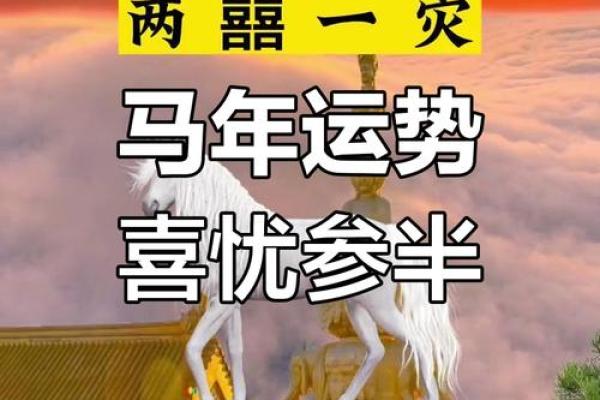 2024年66年属马人今日运势解析财运事业吉凶预测 2024年66年属马人今日运势解析财运事业吉凶预测