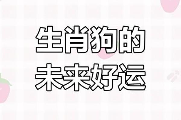 1970年属狗人2023年多大年龄运势全解析 1970年属狗人2023年多大年龄运势全解析