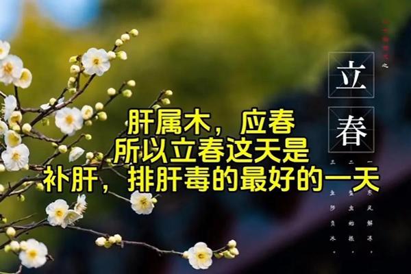 2024年立春是几点几分 2024年立春是几点几分