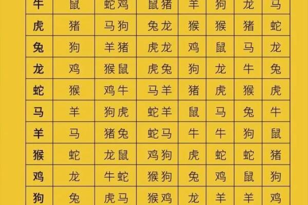 属猪和属兔婚配怎么样 属猪和属兔婚配怎么样啊 属猪和属兔婚配怎么样 属猪和属兔婚配怎么样啊