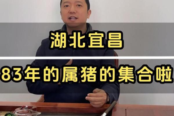 83年属猪多大_83年属猪多大年纪 83年属猪多大_83年属猪多大年纪