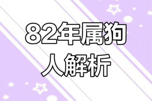 82年属狗男2025年婚姻运势解析与预测 82年属狗男2025年婚姻运势解析与预测