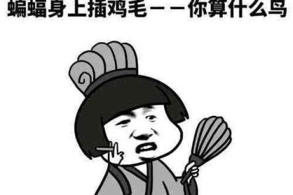 “蝙蝠身上擦鸡毛”打一生肖是什么,蝙蝠身上插鸡毛歇后语答案解释释义落实 “蝙蝠身上擦鸡毛”打一生肖是什么,蝙蝠身上插鸡毛歇后语答案解释释义落实