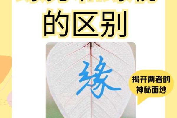 缘分重是什么意思_缘分重的真正含义揭秘命运中的深厚联系 缘分重是什么意思_缘分重的真正含义揭秘命运中的深厚联系