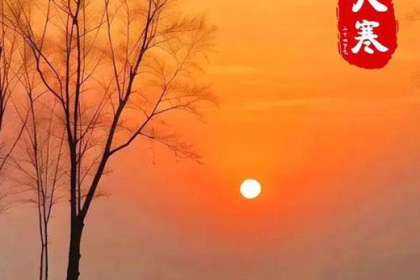 大寒祝福语简短一句话 大寒祝福语简短一句话