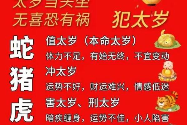 属猪的2025年佩戴什么最好_2025年属猪冲太岁戴什么 属猪的2025年佩戴什么最好_2025年属猪冲太岁戴什么