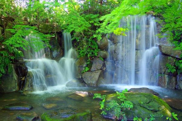 “大好山河”打一准确动物生肖,大好山河是什么生肖答案解释释义落实 “大好山河”打一准确动物生肖,大好山河是什么生肖答案解释释义落实