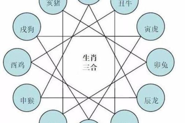 变化多端是什么生肖 变化多端是什么生肖