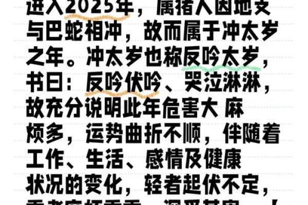 83年属猪2025年的运势 2025年属猪运势详解83年出生者如何把握机遇与挑战 83年属猪2025年的运势 2025年属猪运势详解83年出生者如何把握机遇与挑战