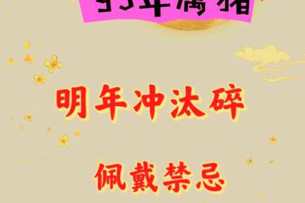 2025年属猪运势及运程2007年生人_2025年猪人命运 2025年属猪运势及运程2007年生人_2025年猪人命运