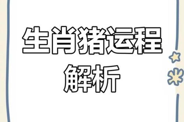 71属猪男2025年的运势及运程_2025年71属猪男运势详解运程预测与吉凶解析 71属猪男2025年的运势及运程_2025年71属猪男运势详解运程预测与吉凶解析