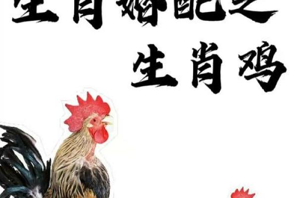 属鸡女最佳婚配 属鸡女最佳婚配