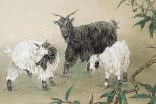 1991年2月属羊是什么命 1991年2月属羊命运解析性格运势与未来展望 1991年2月属羊是什么命 1991年2月属羊命运解析性格运势与未来展望