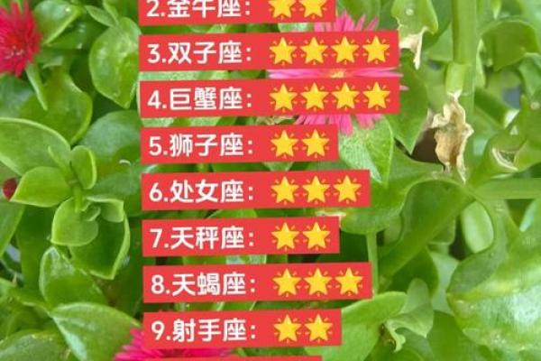 巨蟹座今天打牌的财运(巨蟹座今日打麻将东南西北哪一位) 巨蟹座今天打牌的财运(巨蟹座今日打麻将东南西北哪一位)