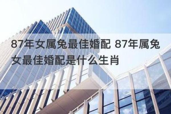 兔跟鸡属相婚配如何 兔鸡属相婚配解析缘分天定还是性格不合 兔跟鸡属相婚配如何 兔鸡属相婚配解析缘分天定还是性格不合