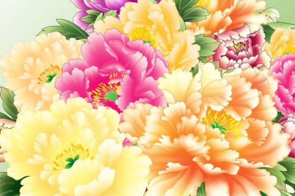 花明又一村是什么生肖 花明又一村是什么生肖