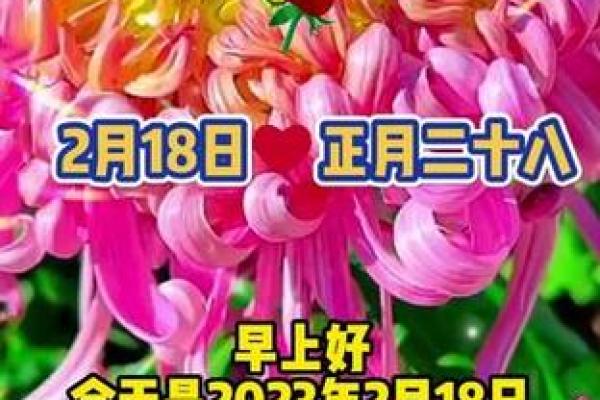 二月那天日子好 二月那天日子好