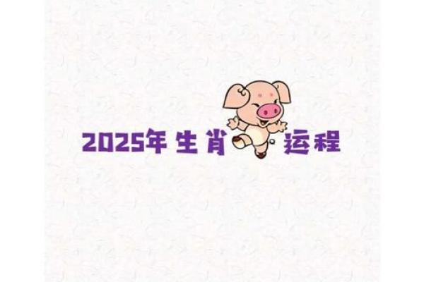 1971年属猪2025年幸运色 1971年属猪2025年幸运色揭秘助你运势飙升 1971年属猪2025年幸运色 1971年属猪2025年幸运色揭秘助你运势飙升