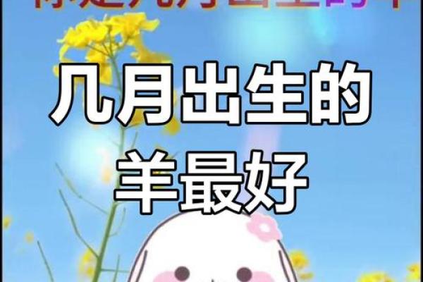 属羊的今年多大岁数了2023年属羊人年龄详解 属羊的今年多大岁数了2023年属羊人年龄详解