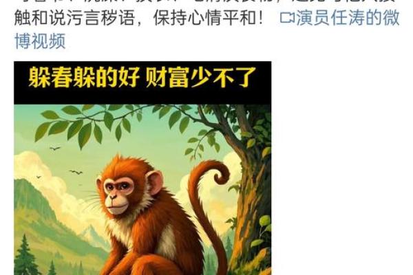 妙手回春是什么生肖 妙手回春是什么生肖