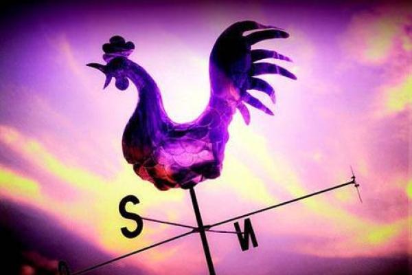 一毛不拔是指哪个生肖 一毛不拔是指哪个生肖