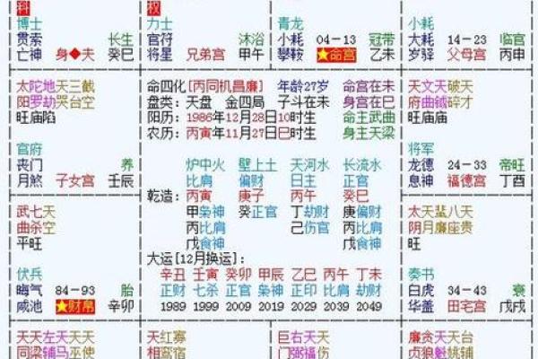 2025年4月5日丑时男命紫微斗数全解盘 2025年4月5日丑时男命紫微斗数全解盘