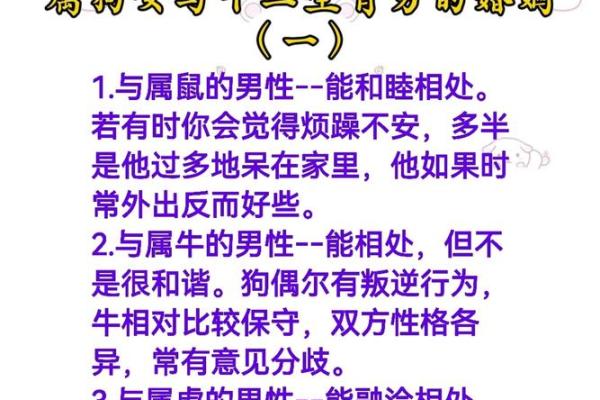 属狗男最宠哪个生肖女 属狗男最宠爱的生肖女是谁揭秘最佳配对 属狗男最宠哪个生肖女 属狗男最宠爱的生肖女是谁揭秘最佳配对