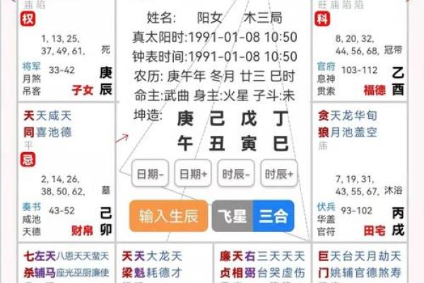 2025年4月8日巳时女命紫微斗数全解盘 2025年4月8日巳时女命紫微斗数全解盘