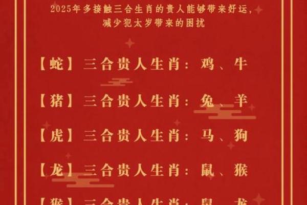 2025年属猪冲太岁运势解析及化解方法 2025年属猪冲太岁运势解析及化解方法