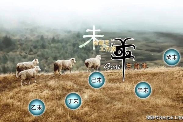 属羊的2025多大_属羊2025年运势及运程每月运程大家找算命网 属羊的2025多大_属羊2025年运势及运程每月运程大家找算命网