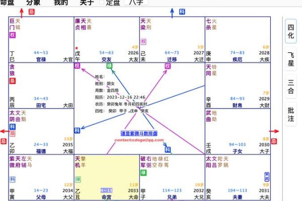 2025年4月4日子时男命紫微斗数全解盘 2025年4月4日子时男命紫微斗数全解盘