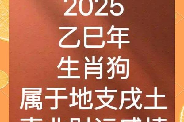 1982年属狗女2025年运势完整版 1982年属狗女2025年全年的运势 1982年属狗女2025年运势完整版 1982年属狗女2025年全年的运势