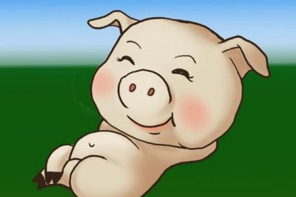 2025年属猪的幸运数字_2025年属猪幸运数字揭秘财运亨通的关键数字 2025年属猪的幸运数字_2025年属猪幸运数字揭秘财运亨通的关键数字