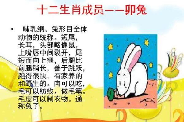 “缺三短四”是什么生肖动物,缺三短四是什么生肖答案解释释义落实 “缺三短四”是什么生肖动物,缺三短四是什么生肖答案解释释义落实