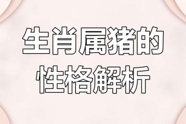 2007年属猪女孩一生命运_2007属猪女人一生的命运婚姻 2007年属猪女孩一生命运_2007属猪女人一生的命运婚姻