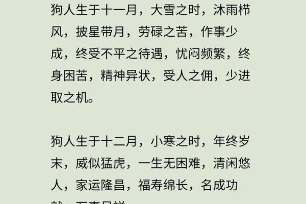 属狗的今年多大了_属狗的人今年多大2023年属狗年龄查询指南 属狗的今年多大了_属狗的人今年多大2023年属狗年龄查询指南