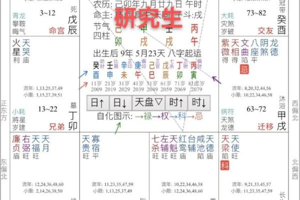 2025年4月6日卯时女命紫微斗数全解盘 2025年4月6日卯时女命紫微斗数全解盘