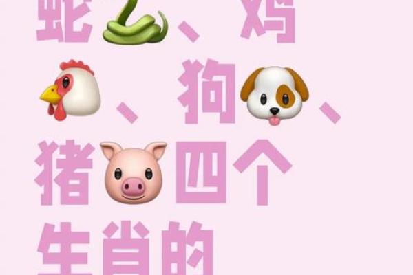 “头撞南墙”是什么生肖动物,头撞南墙最佳生肖答案解释释义落实 “头撞南墙”是什么生肖动物,头撞南墙最佳生肖答案解释释义落实