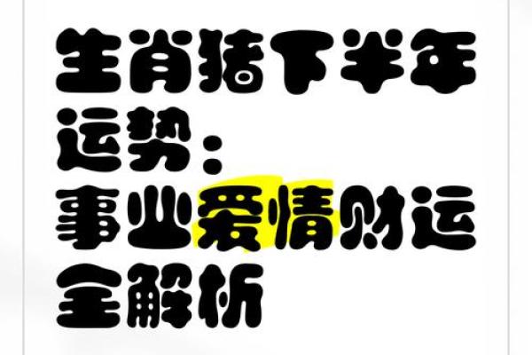 2025年生肖猪运程详解财运事业感情全面解析 2025年生肖猪运程详解财运事业感情全面解析