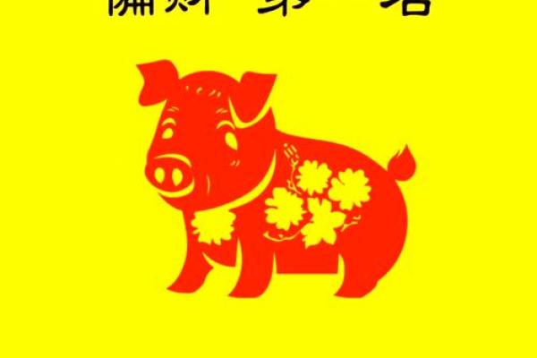 2025年属猪适合什么颜色 2025年属猪幸运色指南最适合的颜色推荐 2025年属猪适合什么颜色 2025年属猪幸运色指南最适合的颜色推荐