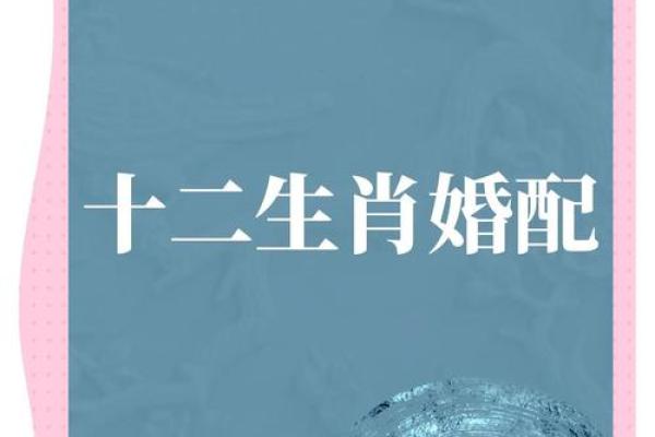“美景佳人夕阳红”是什么生肖动物,美景佳人夕阳红代表什么生肖答案解释释义落实 “美景佳人夕阳红”是什么生肖动物,美景佳人夕阳红代表什么生肖答案解释释义落实