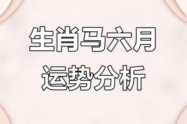 2025年属马人全年运势解析财运事业健康全预测 2025年属马人全年运势解析财运事业健康全预测