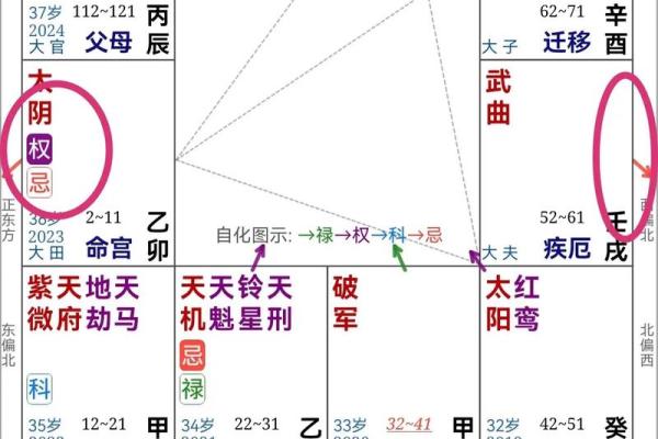 2025年4月3日未时男命紫微斗数全解盘 2025年4月3日未时男命紫微斗数全解盘