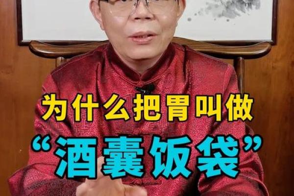 “酒囊饭袋”打一正确的生肖,酒囊饭袋代表什么生肖答案解释释义落实 “酒囊饭袋”打一正确的生肖,酒囊饭袋代表什么生肖答案解释释义落实