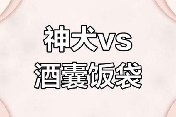 “酒囊饭袋”打一正确的生肖,酒囊饭袋代表什么生肖答案解释释义落实 “酒囊饭袋”打一正确的生肖,酒囊饭袋代表什么生肖答案解释释义落实