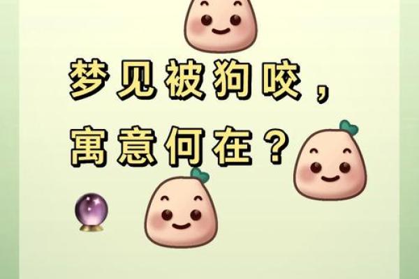 梦见可爱的小狗